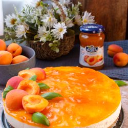 Torta fredda allo yogurt Santa Rosa_Carmelita Tornello_1-0683